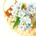 月2回を目標とした不定期配信に変更のお知らせ