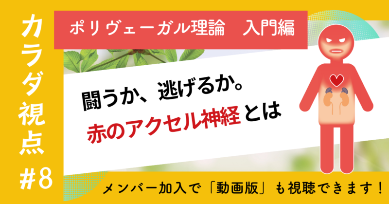 闘うか逃げるか。赤のアクセル神経とは。